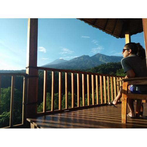 Dragonfly Senaru Lodge