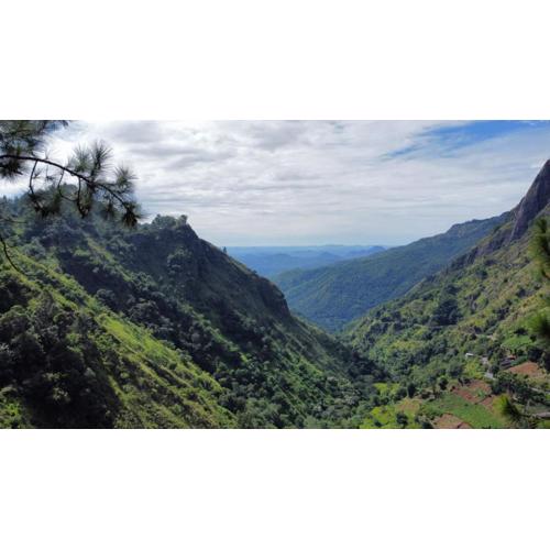 Dream view