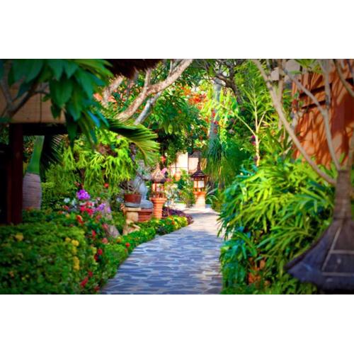 Drisana 1 BR Quirky Garden Room Single ZN136