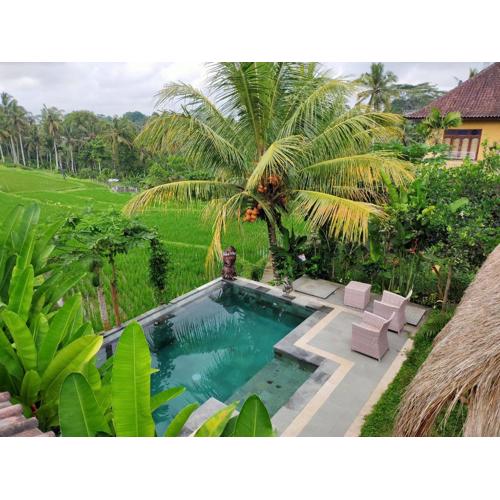 Dukuh Village Villas & Art