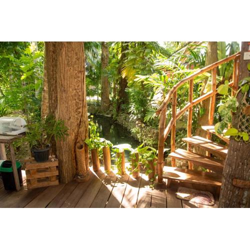 Dumaguete Oasis Treehouse, near airport and mall