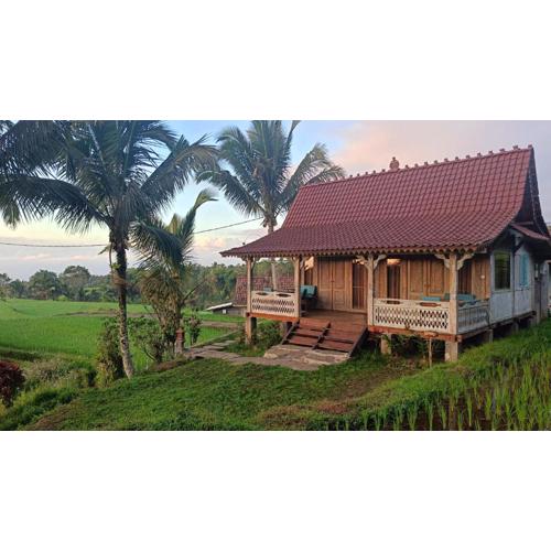 D'Ume Bendoel Homestay