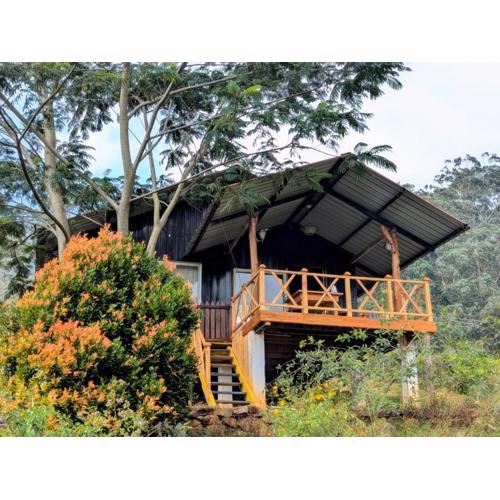 Dunali Mountains - Galaha