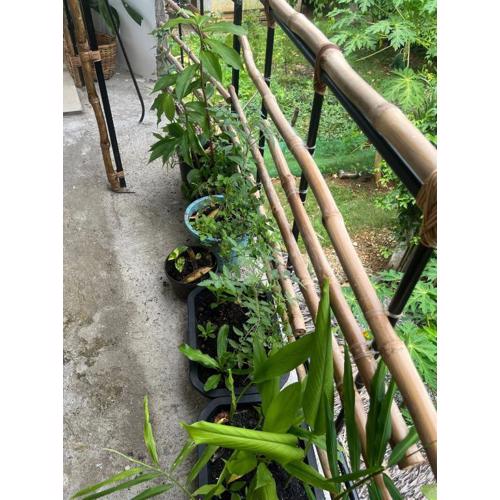 Duplicate Listing - do not book