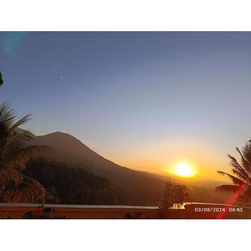 DWan Tea Mountain Side