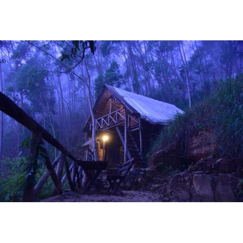 Earth Camping - Ella