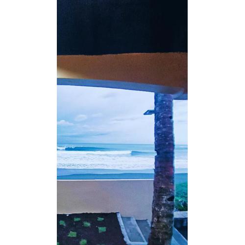 Earthsea Surf Garden