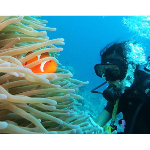 East Lombok Dive Hotel - 3 private rooms on the beach