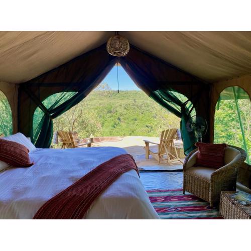 Echoes of Eden: Forest Haven