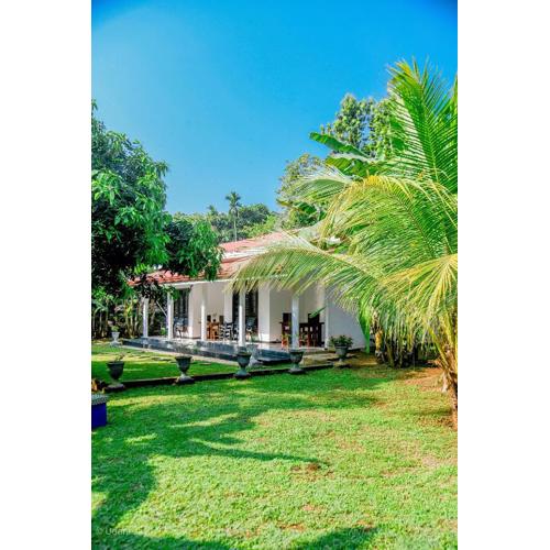 Eco Friendly Lodge