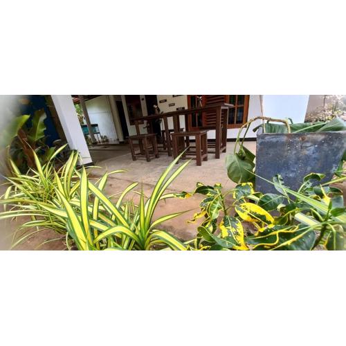 Eco home stay and safari