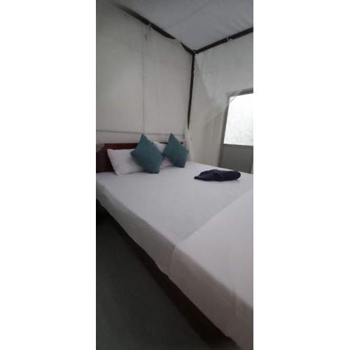 Eco Home Stay and Safari