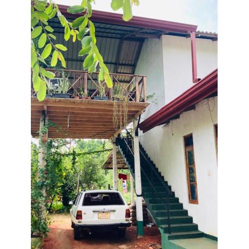 eco house