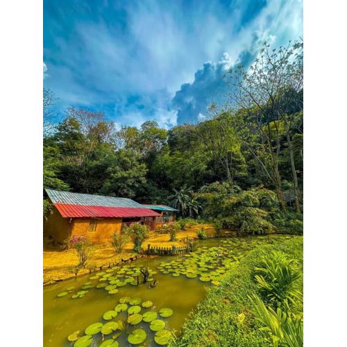 Eco Lodge Meemure & Adventure Park