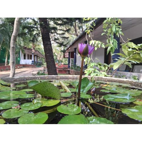 Eco Nature Lodge - Habarana