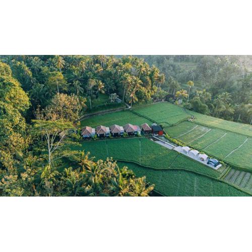 Eco Oasis Wooden Villa Ubud