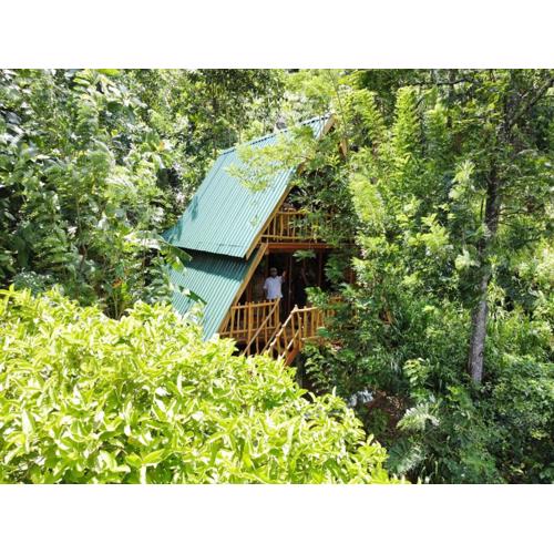 Eco Village