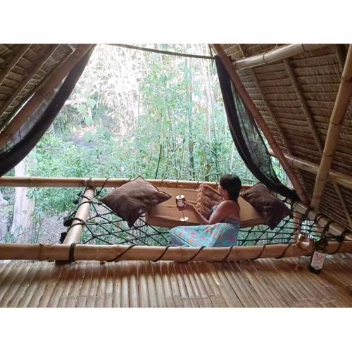 Ecocio Jungle Hostel