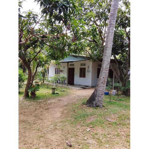 EECS Transit - Village stay