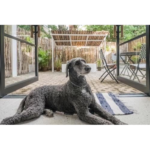 EIWA Nest Self-Service Apartment - AC, Outdoor Tub, Pet Friendly with a Fee