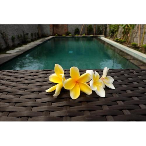 Eka Bali Guest House