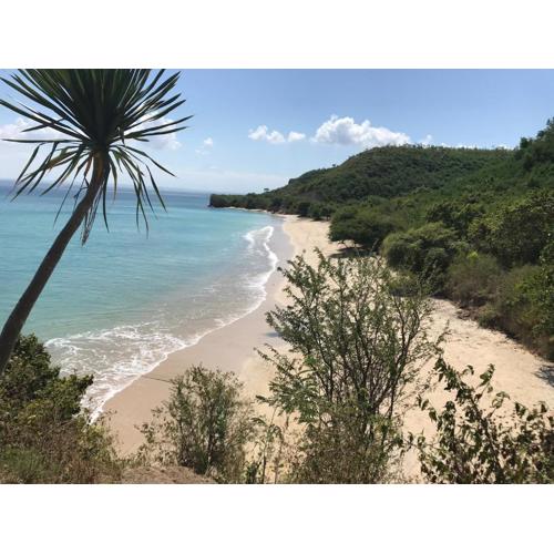 Ekas Surf & Kitesurfing Resort