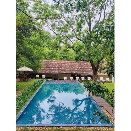 EKHO Sigiriya - 700 meters to Sigiriya Rock