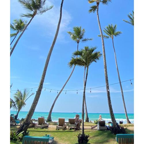 El Mosquito Boutique Hotel Playa Bonita