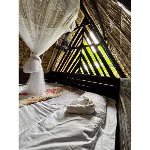 El Trinidad Organic Farm