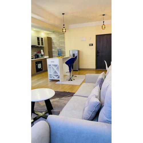 Elegant classy apartment with modern equipped gym, private parking space,and proximity to major shopping malls