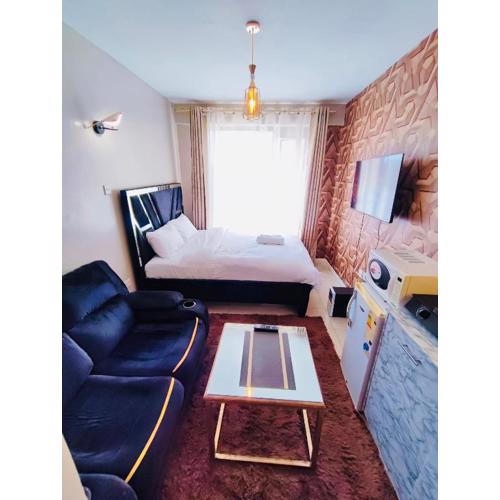 Elegant studio apartment