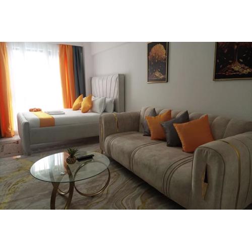 Elegant Studio Kilimani