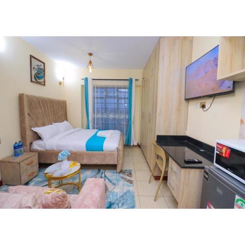 Elegant Studio Nairobi South B Airport Near