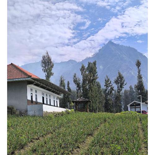 Elen Homestay by ABM