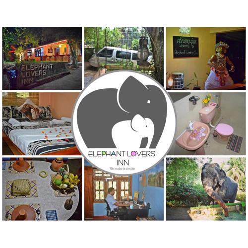 Elephant Lovers Inn