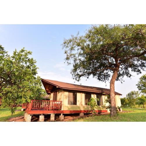 Elephant Rock Luxury Camp Tarangire