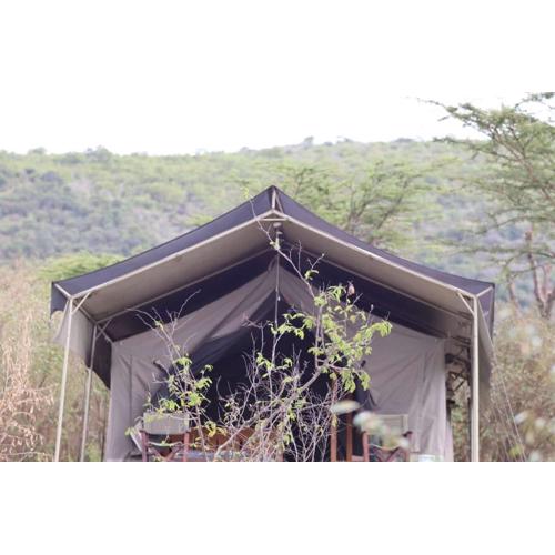 Elephant trails camp