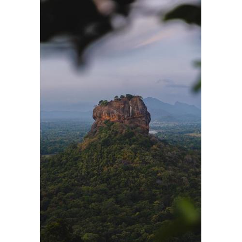 Elephant Trio Sigiriya