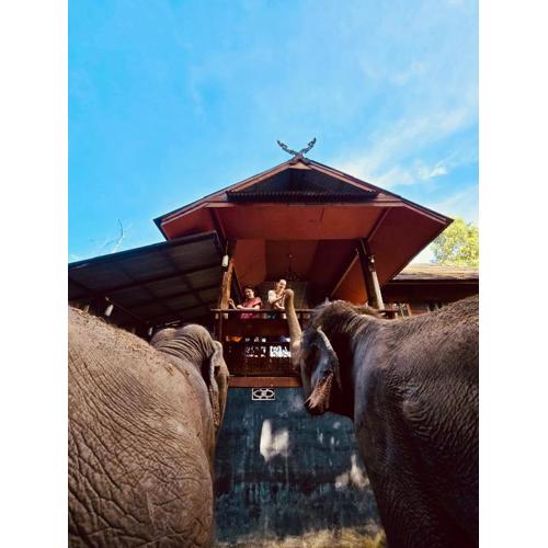 Elephant view terrace chiang mai บ้านระเบียงชมช้าง