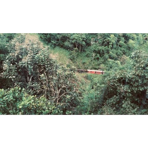 Eleven eleven cafe and resort