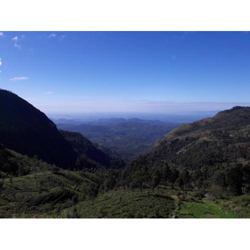 Ella Banana Rest Inn