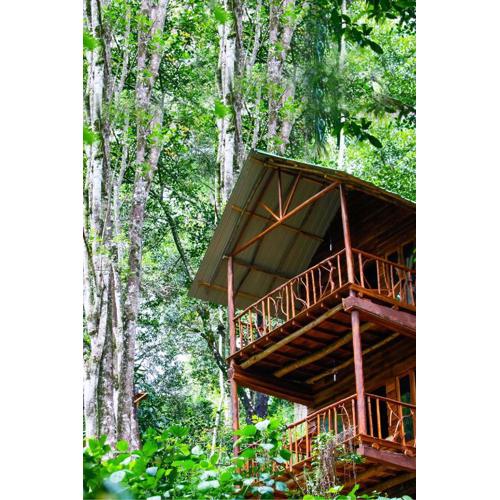 Ella Ecolodge