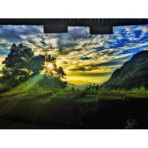 Ella Happy View Homestay