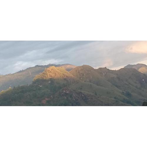 Ella Infinity View
