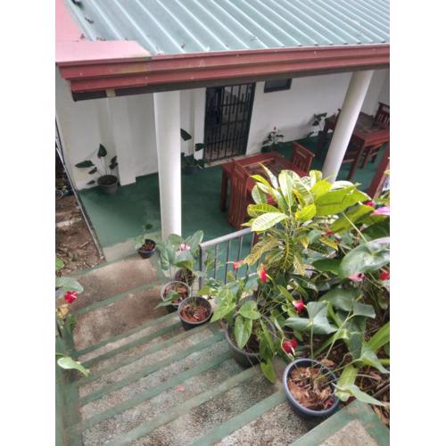 Ella Nature Breeze