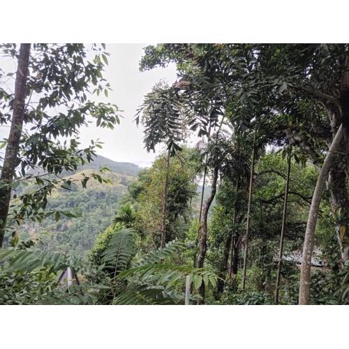 Ella nature hostel