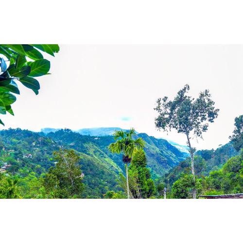Ella Nimal Nest Inn