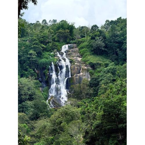 Ella waterfall view