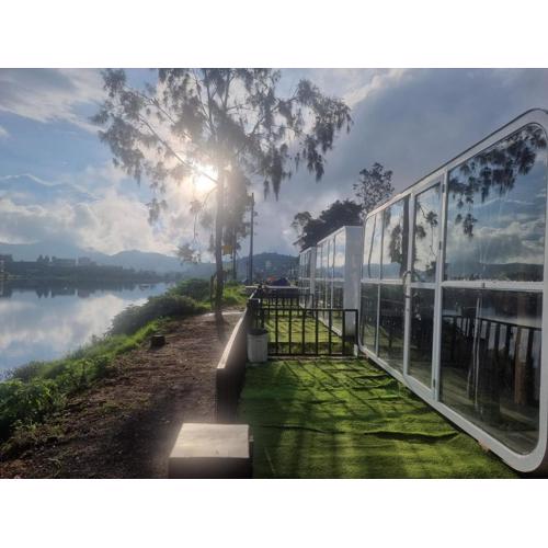 Epel Bintang tepi danau