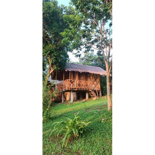Erlittop Nature Lodge